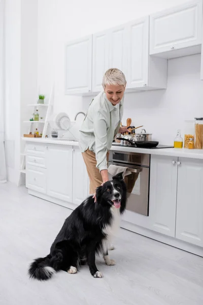 Positive senior woman petting border collie while cooking in kitchen — Stock Photo