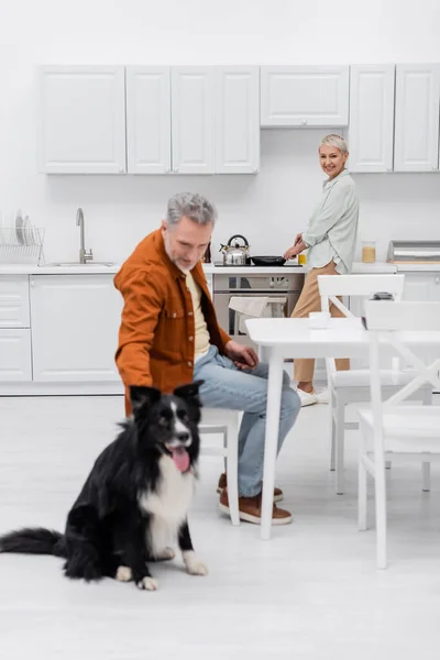Happy senior woman cooking near blurred husband petting border collie in kitchen — Stock Photo