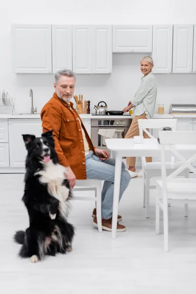 Positive senior woman cooking and looking at blurred husband and border collie in kitchen — Stock Photo