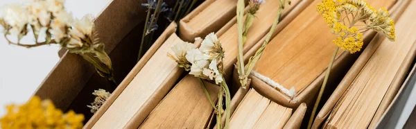 Close up of books and dried flowers isolated on grey, top view, banner — Stock Photo