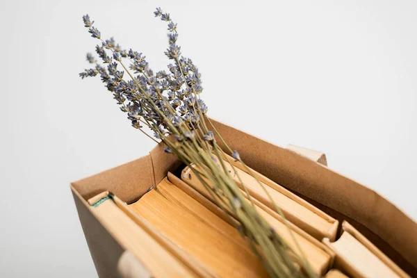 Vista de cerca de flores de lavanda y libros en bolsa aislada en gris - foto de stock