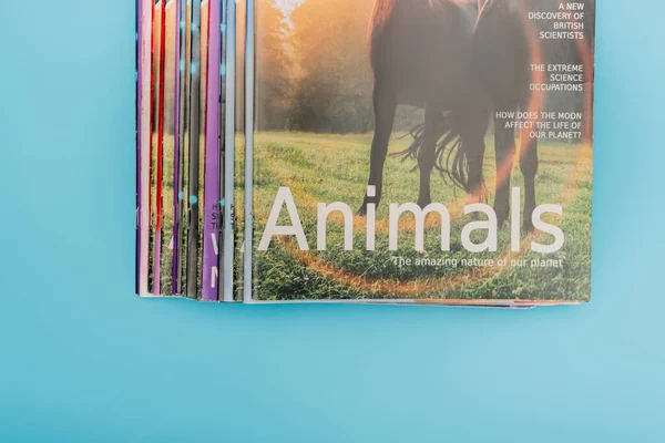 Vista superior de revistas de animales de colores aislados en azul - foto de stock