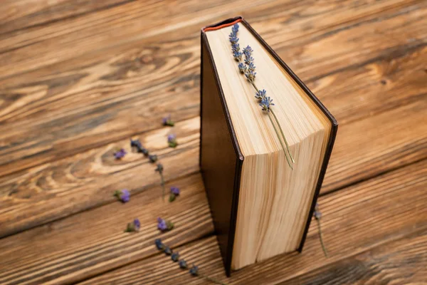 Vista de alto ângulo de flores de livro e lavanda na superfície de madeira marrom — Fotografia de Stock