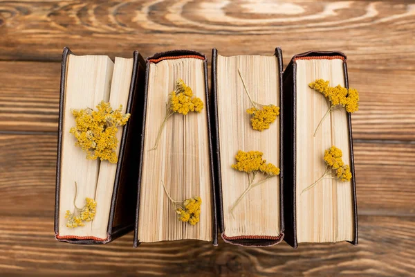 Vista superior de livros com flores amarelas secas na superfície de madeira — Fotografia de Stock