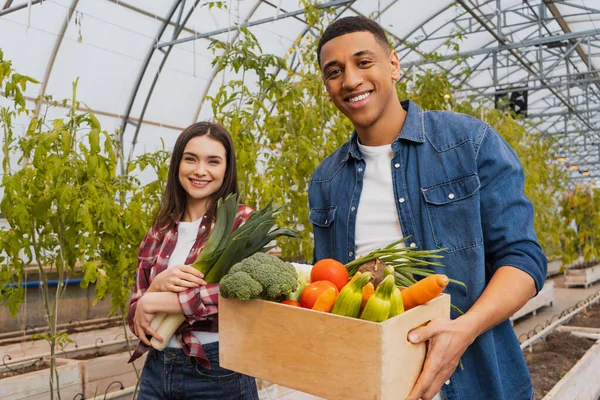 Contadino africano americano sorridente che tiene la scatola con verdure fresche vicino al collega in serra — Foto stock