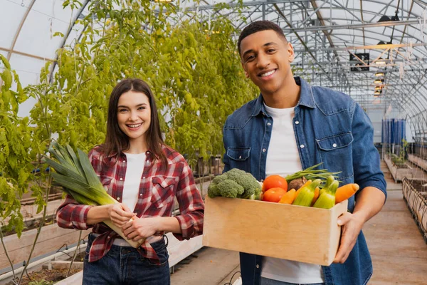 Happy multiethnic farmers holding organic vegetables in greenhouse — Stock Photo