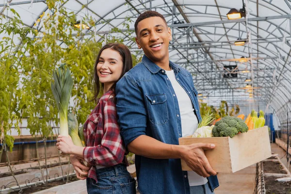 Cheerful interracial farmers holding vegetables and looking at camera in greenhouse — Stock Photo