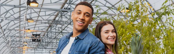 Positive multiethnic farmers looking at camera in greenhouse, banner — Stock Photo