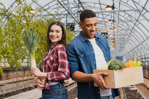 Улыбающийся африканский американский фермер держит коробку со свежими овощами рядом с коллегой в теплице — стоковое фото