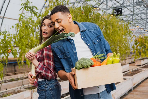 African american farmer holding vegetables and biting leek near colleague in greenhouse — Stock Photo