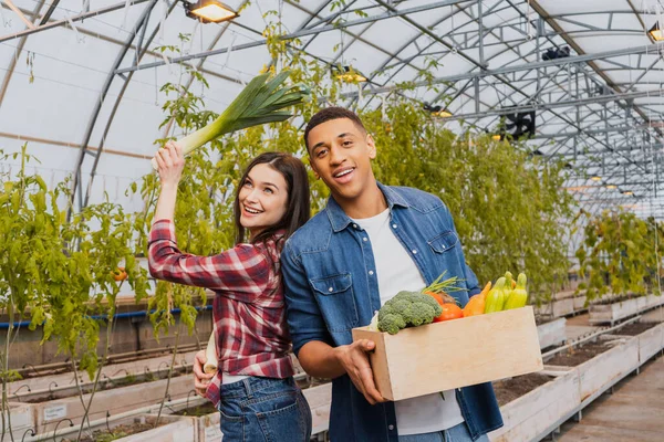 Positive farmer holding leek near african american colleague with vegetables in box in greenhouse — Stock Photo