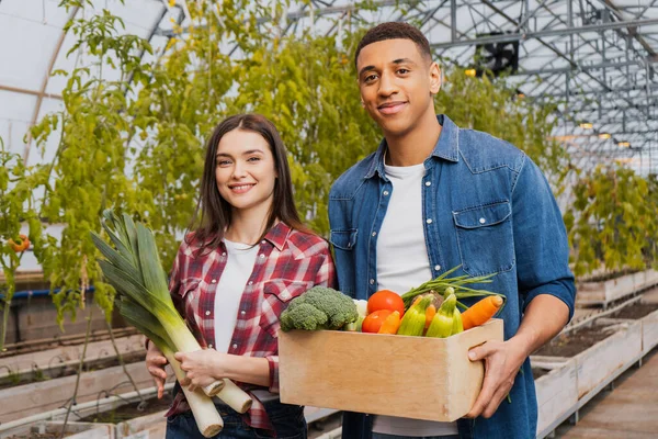 Positive multiethnic farmers holding organic vegetables in blurred greenhouse — Stock Photo