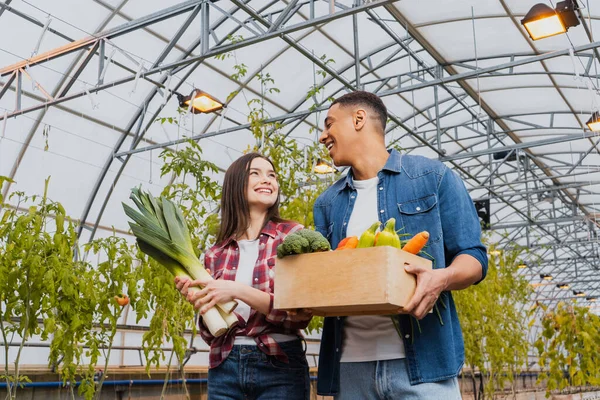 Smiling interracial farmers holding fresh vegetables in greenhouse — Stock Photo