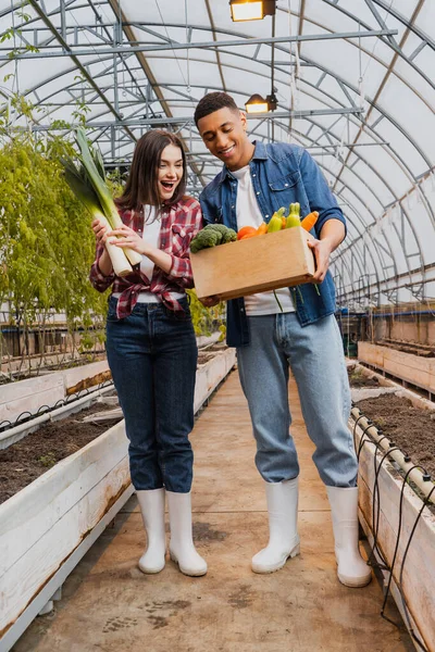 Excited farmer holding leek near african american colleague with vegetables in greenhouse — Stock Photo