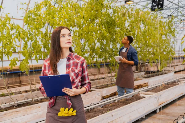 Young farmer holding clipboard near blurred african american colleague in greenhouse — Stock Photo