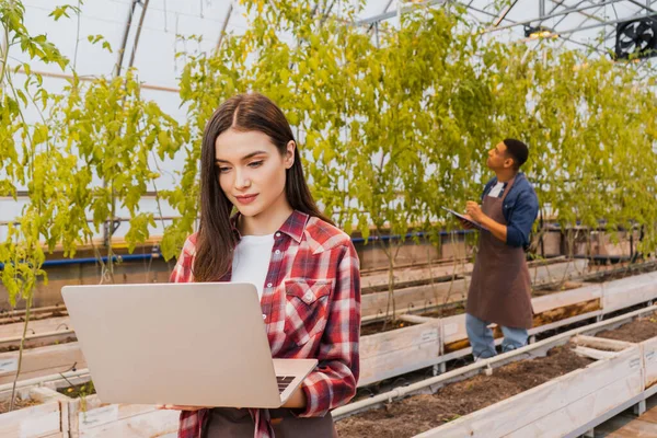 Giovane agricoltore che utilizza laptop vicino sfocato collega afroamericano in serra — Foto stock