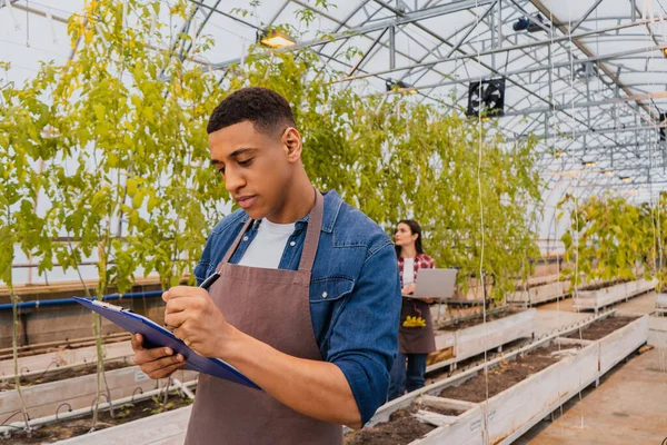 African american farmer writing on clipboard near blurred colleague in greenhouse — Stock Photo