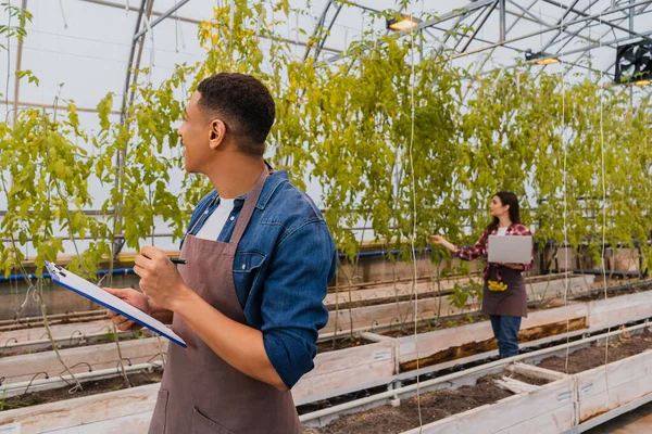 African american farmer holding clipboard near blurred colleague and plants in greenhouse — Stock Photo