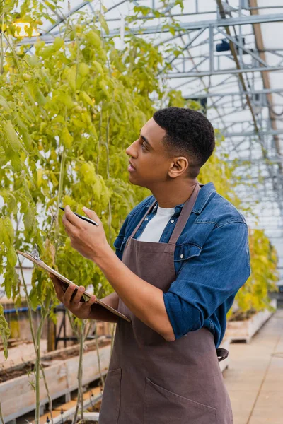 Vista lateral del agricultor afroamericano sosteniendo pluma y portapapeles cerca de plantas en invernadero - foto de stock