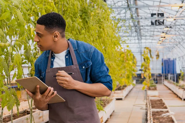 Side view of african american farmer holding pen and clipboard while looking at plants in greenhouse — Stock Photo