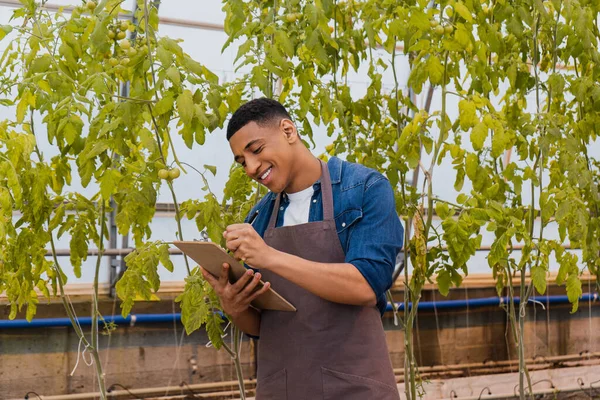 Agricoltore afroamericano positivo in grembiule scritto sugli appunti vicino alle piante in serra — Foto stock