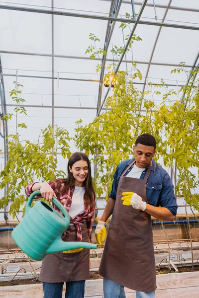 Smiling farmer holding watering can near african american colleague in greenhouse — Stock Photo