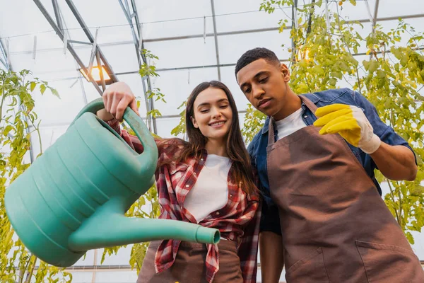 Low angle view of farmer holding watering can near african american colleague in apron in greenhouse — Stock Photo