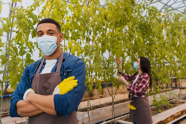 Afrikanischer Bauer in medizinischer Maske blickt in die Kamera, während Kollege mit Pflanzen im Gewächshaus arbeitet — Stockfoto