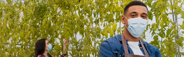 African american farmer in medical mask standing near plants in greenhouse, banner — Stock Photo