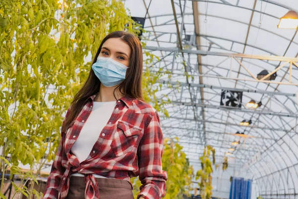 Farmer in medical mask looking at camera near plants in greenhouse — Stock Photo