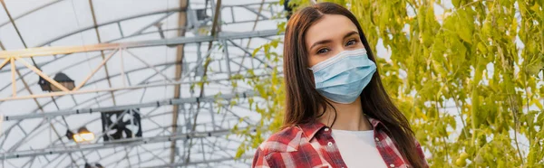 Young farmer in medical mask looking at camera near plants in greenhouse, banner — Stock Photo
