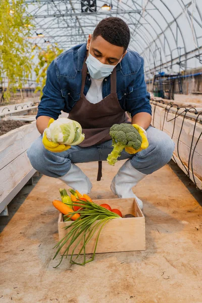 Fermier afro-américain en masque médical et gants tenant brocoli et chou près des légumes en serre — Photo de stock