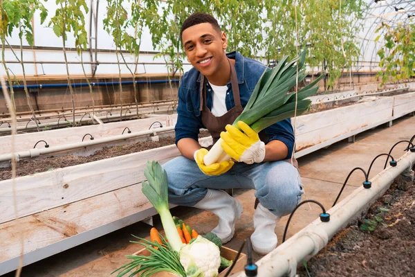 Happy african american farmer in gloves holding leek near vegetables and ground in greenhouse — Stock Photo