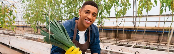 Agricultor afroamericano en guante sosteniendo puerro fresco en invernadero, pancarta - foto de stock