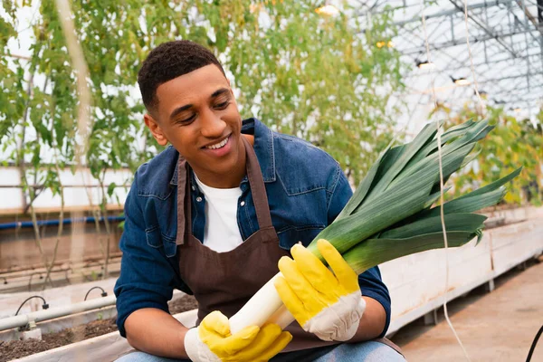Positive african american farmer in gardening gloves holding fresh leek in greenhouse — Stock Photo