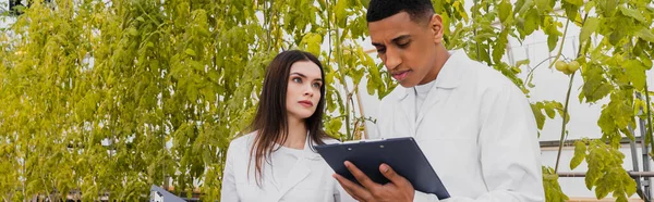 African american botanist in white coat holding clipboard near colleague in greenhouse, banner — Stock Photo