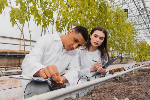 African american botanist holding clipboard near ground and colleague in greenhouse — Stock Photo