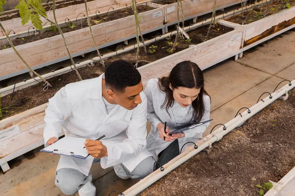 Overhead view of interracial botanists holding clipboards near ground in greenhouse — Stock Photo