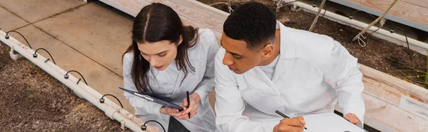 Overhead view of multiethnic botanists holding clipboards near ground in greenhouse, banner — Stock Photo