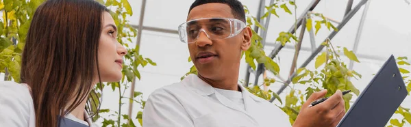 Low angle view of african american botanist holding clipboard near colleague in greenhouse, banner — Stock Photo