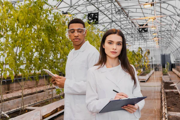 Young botanist holding clipboard and looking at camera near african american colleague with digital tablet in greenhouse — Stock Photo