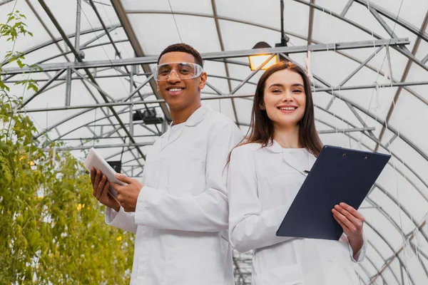 Vista a basso angolo di botanici interrazziali sorridenti che tengono appunti e tablet digitale in serra — Foto stock