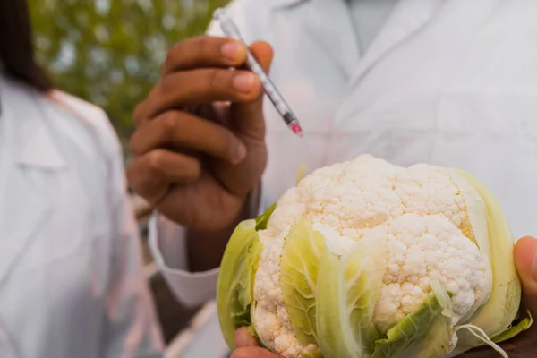 Vue recadrée d'un botaniste afro-américain tenant du chou-fleur et une seringue près d'un collègue flou en serre — Photo de stock