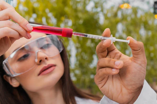 African american botanist holding syringe near young colleague with test tubes in greenhouse — Stock Photo