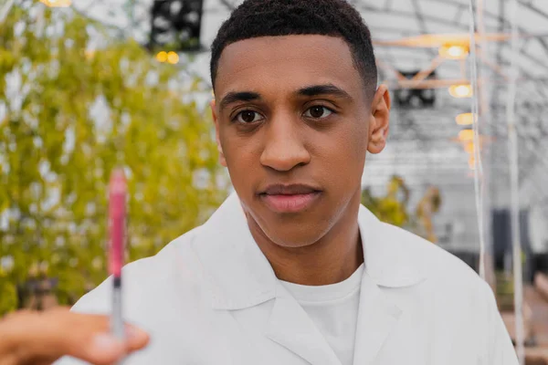 African american botanist holding blurred syringe in greenhouse — Stock Photo