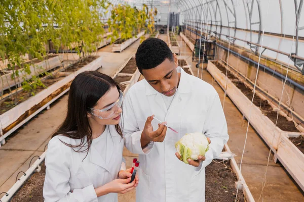 Afrikanischer Botaniker hält Spritze in der Nähe von Blumenkohl und Kollege mit Reagenzgläsern im Gewächshaus — Stockfoto