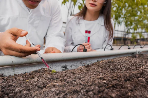 Vista ritagliata di botanici interrazziali con siringa che analizza il terreno in serra — Foto stock