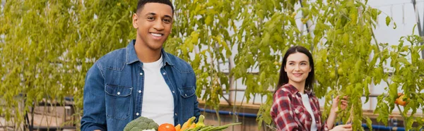 Lächelnder afrikanisch-amerikanischer Bauer blickt in die Kamera neben Gemüse und Kollege im Gewächshaus, Banner — Stockfoto
