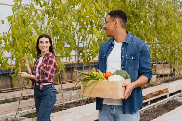 Positive farmer looking at african american colleague with fresh vegetables in box in greenhouse — Stock Photo