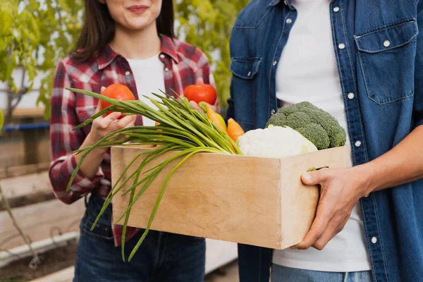 Обрезанный вид африканского американского фермера держащего коробку со свежими овощами рядом с коллегой в теплице — стоковое фото
